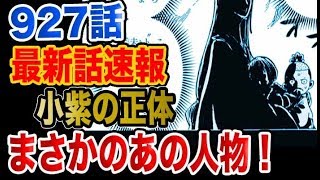 動画 ワンピース 927話速報考察 小紫の正体がまさかのあの人物か 引用あり 動画でマンガ考察 ネタバレや考察 伏線 最新話の予想 感想 集めました