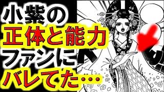 動画 ワンピースネタバレ 第932話 花魁 小紫の正体はあの人物 あの の能力の使い手だったことがファンの間でバレていた 最新話 確定 本バレ 動画でマンガ考察 ネタバレ や考察 伏線 最新話の予想 感想集めました